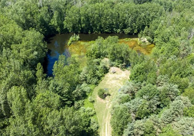 Photo 3 of Land for sale at 000 Dodge Rd, Cass City, MI 48726 | MLS# 20261052890 | Listing updated on 2026-09-02