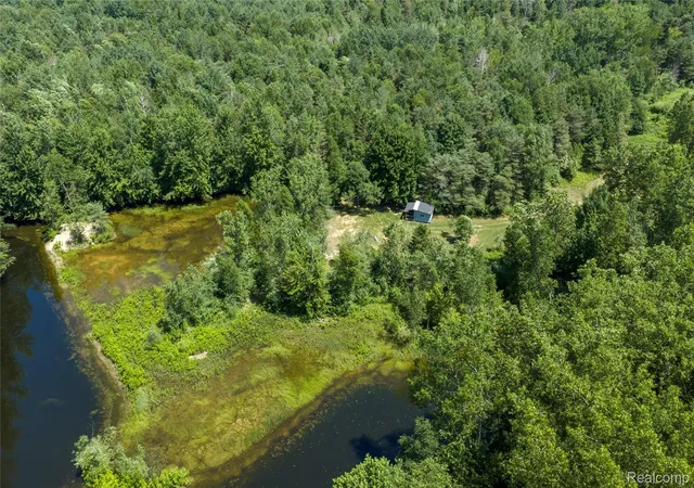 Photo 4 of Land for sale at 000 Dodge Rd, Cass City, MI 48726 | MLS# 20261052890 | Listing updated on 2026-09-02