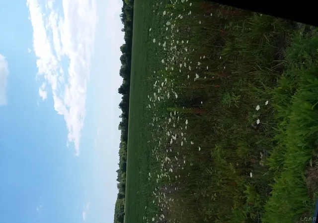 Photo 4 of Land for sale at 2268 E Sigler Rd, Carleton, MI 48117 | MLS# 56050214389 | Listing updated on 2026-07-17