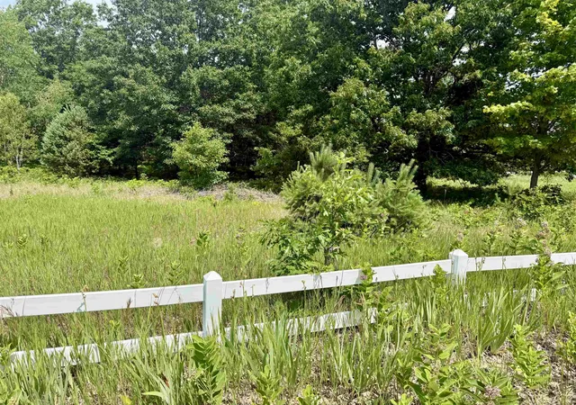 Photo 2 of Land for sale at 0 E Sandy Ln, Cedar, MI 49621 | MLS# 78080070912 | Listing updated on 2026-08-04