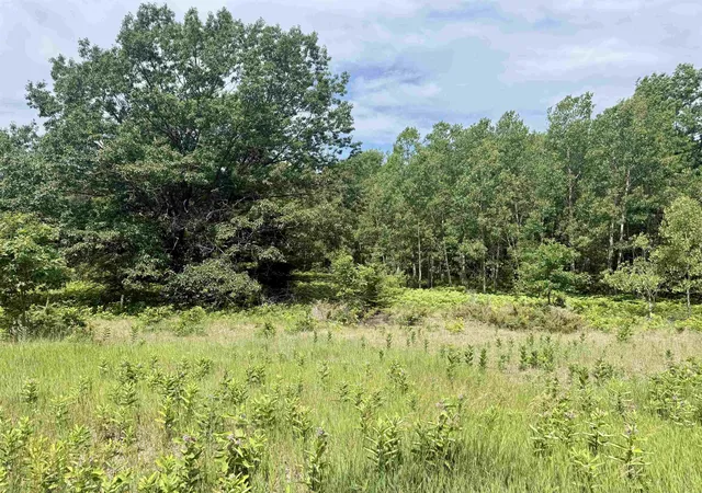 Photo 3 of Land for sale at 0 E Sandy Ln, Cedar, MI 49621 | MLS# 78080070912 | Listing updated on 2026-08-04