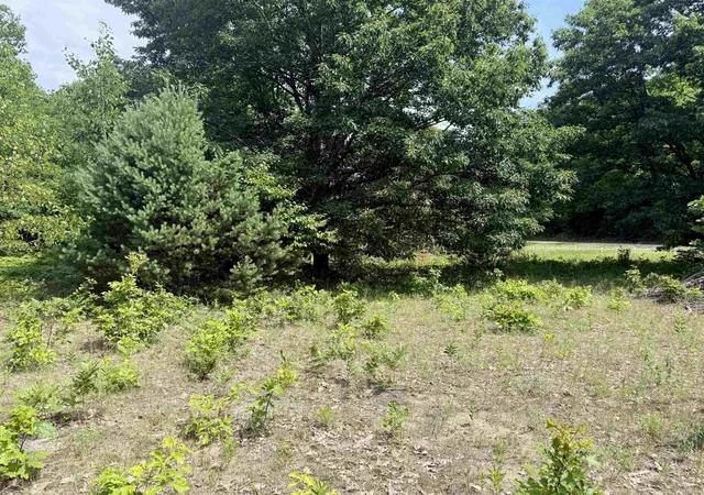 Photo 3 of Land for sale at 0 E Sandy Ln, Cedar, MI 49621 | MLS# 78080070912 | Listing updated on 2026-08-04