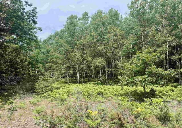 Photo 4 of Land for sale at 0 E Sandy Ln, Cedar, MI 49621 | MLS# 78080070912 | Listing updated on 2026-08-04