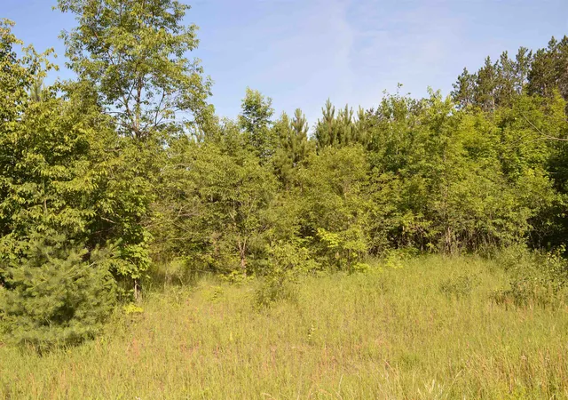 Photo 1 of Land for sale at Ne Holly Rd, Rapid River Township Kalkaska, MI 49646 | MLS# 78080070911 | Listing updated on 2026-07-13