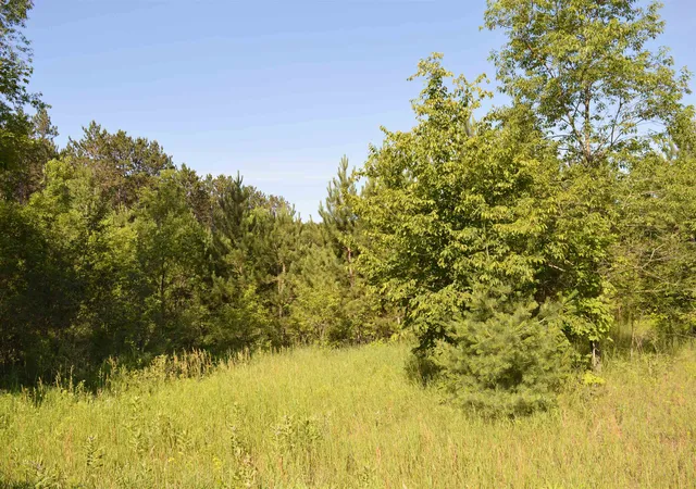 Photo 2 of Land for sale at Ne Holly Rd, Rapid River Township Kalkaska, MI 49646 | MLS# 78080070911 | Listing updated on 2026-07-13