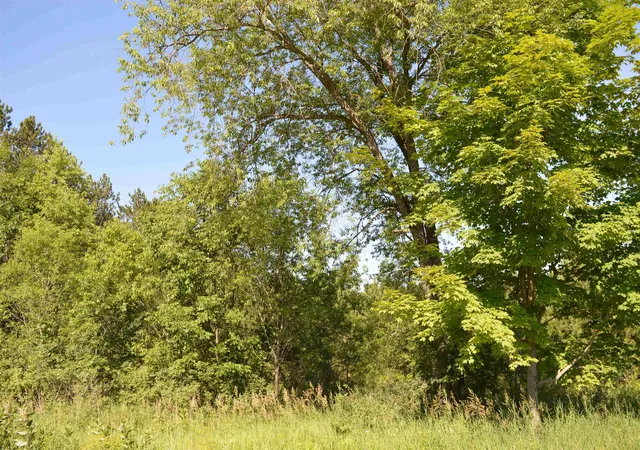 Photo 3 of Land for sale at Ne Holly Rd, Rapid River Township Kalkaska, MI 49646 | MLS# 78080070911 | Listing updated on 2026-07-13