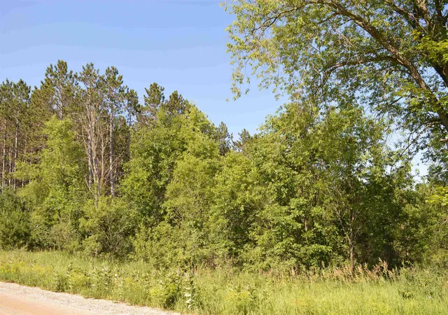 Photo 3 of Land for sale at NE Holly Rd, Kalkaska, MI 49646 | MLS# 78080070910 | Listing updated on 2026-07-13