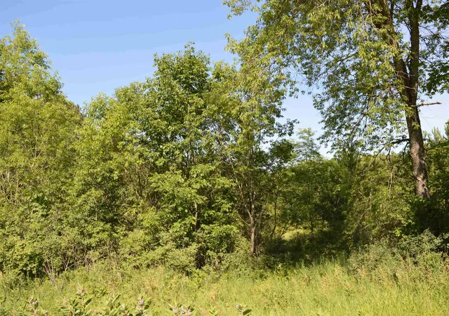 Photo 4 of Land for sale at NE Holly Rd, Kalkaska, MI 49646 | MLS# 78080070910 | Listing updated on 2026-07-13