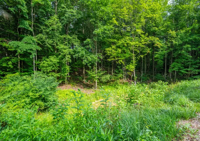 Photo 3 of Single family home for sale at 412 63rd Street, South Haven, MI 49090 | MLS# 69026035293 | Listing updated on 2026-09-02
