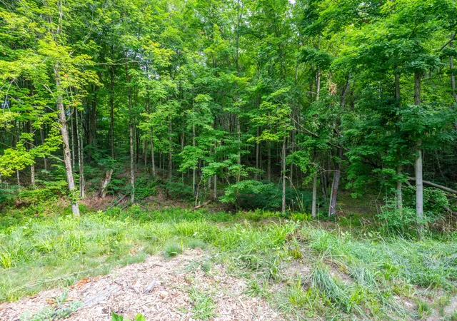 Photo 4 of Single family home for sale at 412 63rd Street, South Haven, MI 49090 | MLS# 69026035293 | Listing updated on 2026-09-02