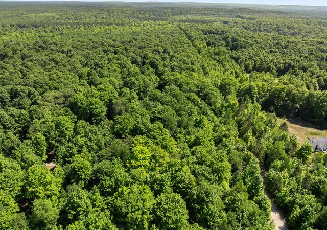 Photo 4 of Land for sale at 002 S Aring Dr, Empire, MI 49630 | MLS# 78080070926 | Listing updated on 2026-07-14