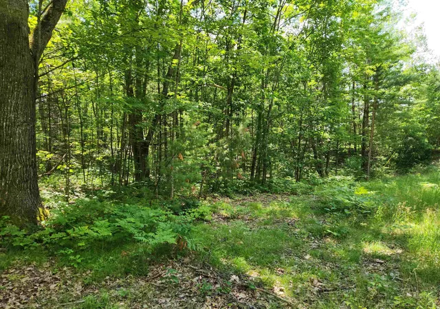 Photo 4 of Land for sale at 000 Bradley, Bear Lake Township Kalkaska, MI 49646 | MLS# 78080070927 | Listing updated on 2026-07-13
