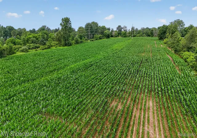 Photo 3 of Land for sale at 1120 N Gregory Rd E, Fowlerville, MI 48836 | MLS# 20261053148 | Listing updated on 2026-07-12