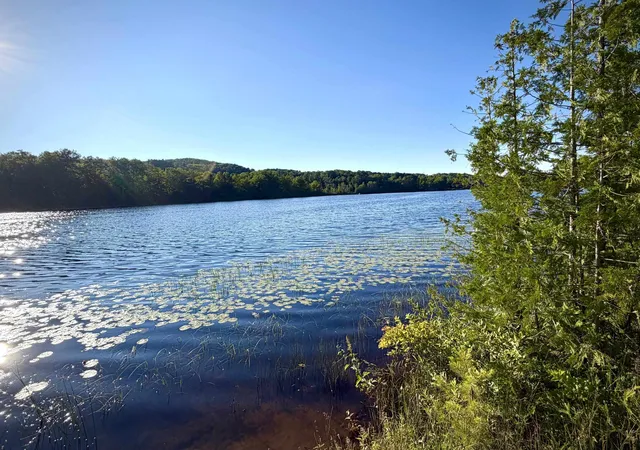 4th image of 7932 Rushton Rd, Ellsworth, MI 49729 | MLS# 78080070939