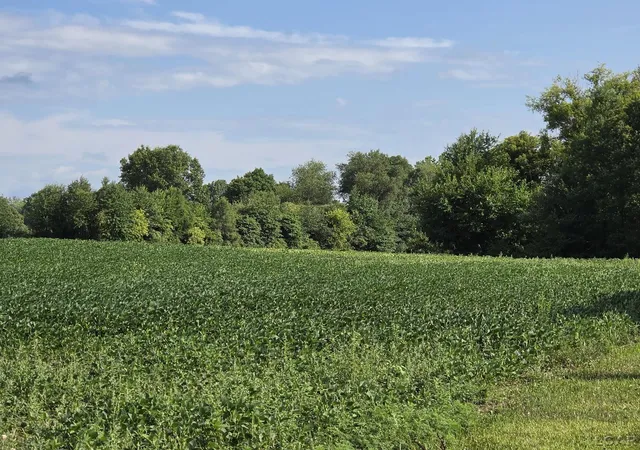 2nd image of W Mosherville Rd, Litchfield, MI 49252 | MLS# 56050214549
