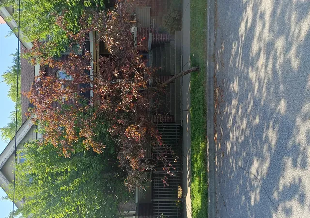 Photo 16 of Condo for sale at 7252 Saint Paul St, Detroit, MI 48214 | MLS# 81026035513 | Listing updated on 2026-07-15