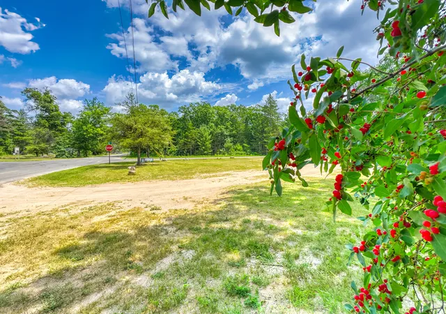 2nd image of 3973 E 3 Mile Rd, Luther, MI 49656 | MLS# 72026035526