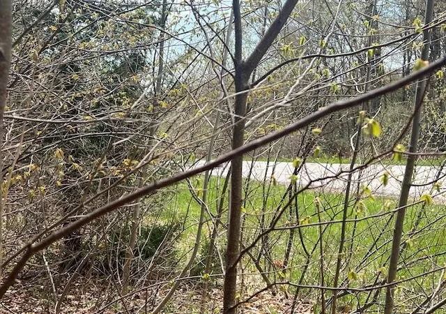 Photo 3 of Land for sale at Lot N 22 Foxview Dr, Northport, MI 49670 | MLS# 78080070982 | Listing updated on 2026-07-14