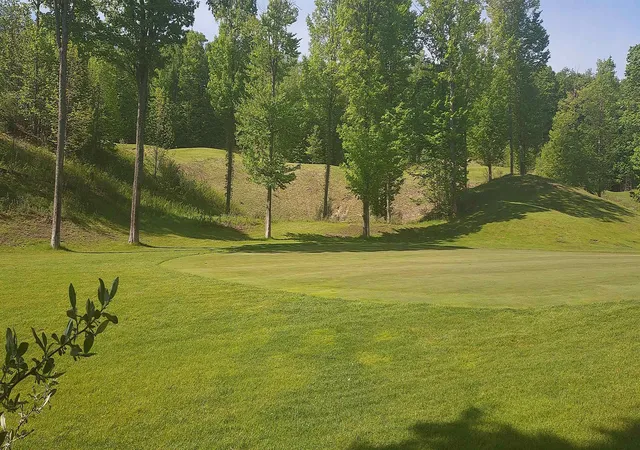 5th image of 54 Sparrow Hawk Dr, Bellaire, MI 49615 | MLS# 78080070988