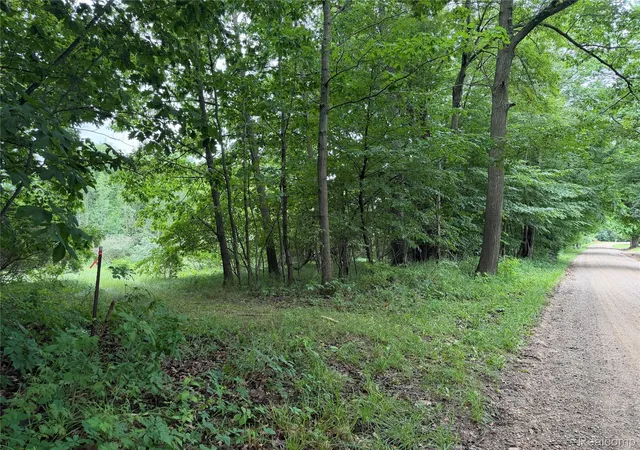 Land for sale at 0 Stanton Lake Rd, Attica, MI 48412 | MLS# 20261053638