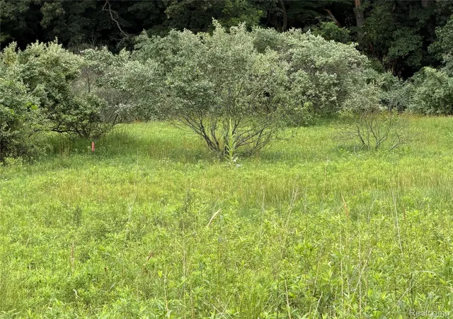 Photo 3 of Land for sale at 0 Stanton Lake Rd, Attica, MI 48412 | MLS# 20261053638 | Listing updated on 2026-07-13