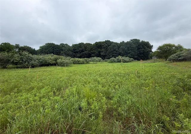 Photo 4 of Land for sale at 0 Stanton Lake Rd, Attica, MI 48412 | MLS# 20261053638 | Listing updated on 2026-07-13