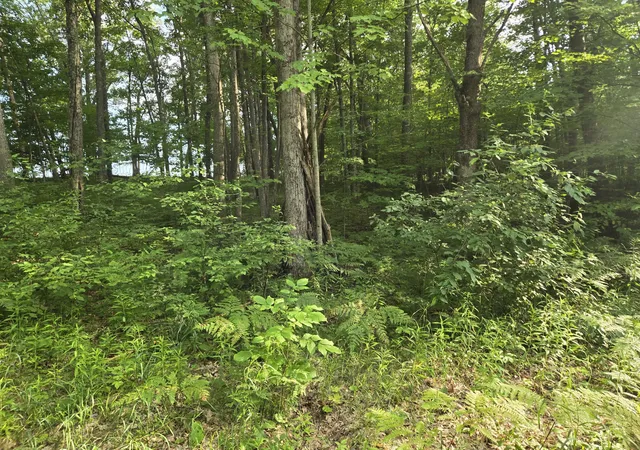 3rd image of 8207 N Hunters Ridge Dr, Unknown Out Of State, MI 49644 | MLS# 72026035653