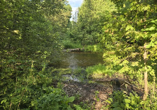 5th image of 8207 N Hunters Ridge Dr, Unknown Out Of State, MI 49644 | MLS# 72026035653