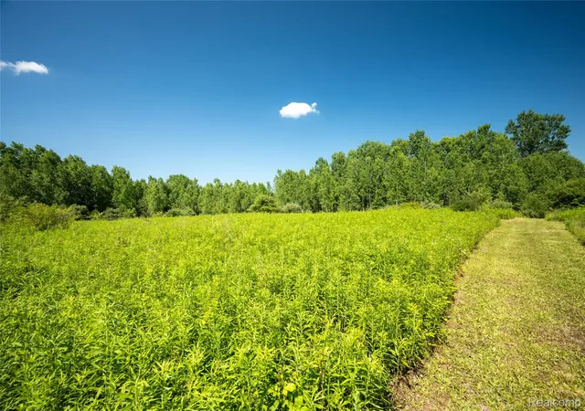 1st image of 00 Hagerman Rd, Leonard, MI 48367 | MLS# 20261053751