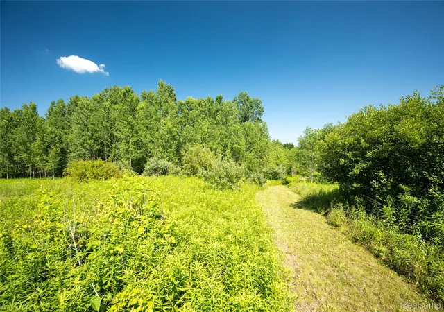 2nd image of 00 Hagerman Rd, Leonard, MI 48367 | MLS# 20261053751