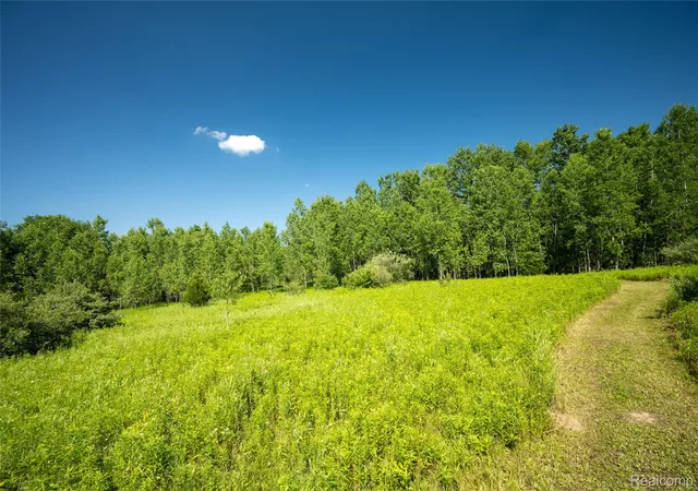 4th image of 00 Hagerman Rd, Leonard, MI 48367 | MLS# 20261053751