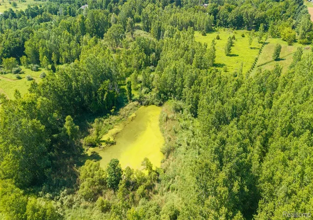 5th image of 00 Hagerman Rd, Leonard, MI 48367 | MLS# 20261053751
