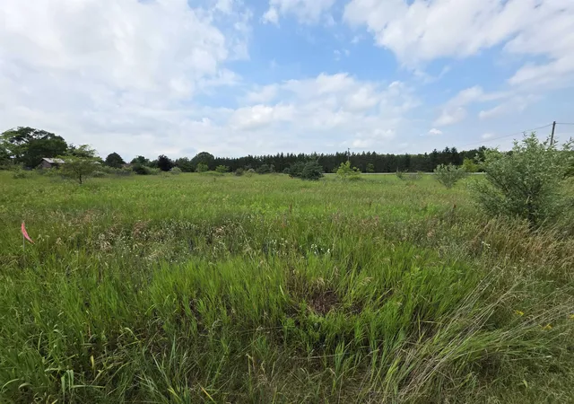 Land for sale at Tbd W Remus Rd, DeerfieldTownship_Isabella, MI 48858 | MLS# 79080071009
