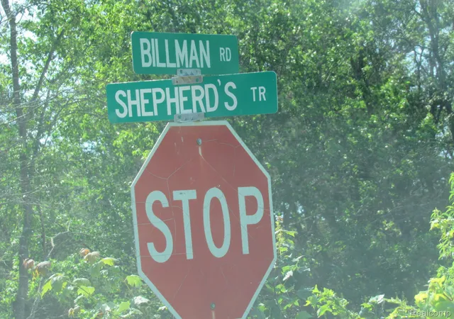 2nd image of Vl Sheperds Trail 10 Acres, Roscommon, MI 48653 | MLS# 20261053888