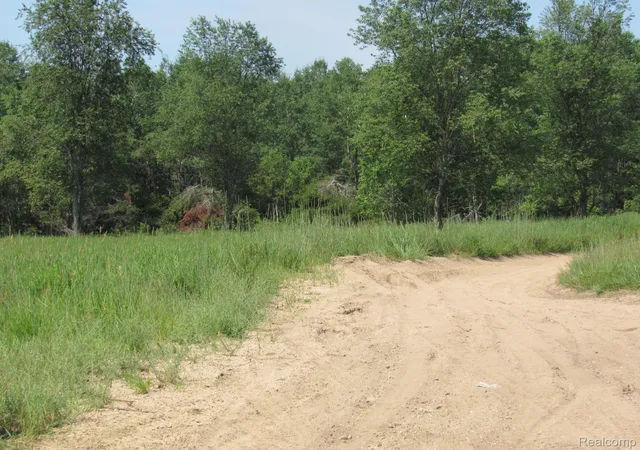 52nd image of Vl Sheperds Trail 10 Acres, Roscommon, MI 48653 | MLS# 20261053888