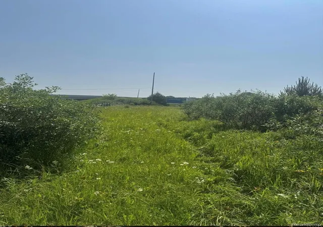 Photo 2 of Land for sale at 2548 S Sheridan Rd, Lennon, MI 48449 | MLS# 20261053894 | Listing updated on 2026-07-14