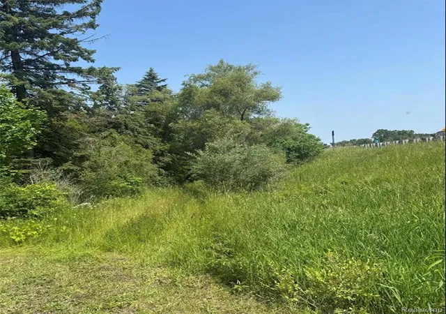 Photo 3 of Land for sale at 2548 S Sheridan Rd, Lennon, MI 48449 | MLS# 20261053894 | Listing updated on 2026-07-14