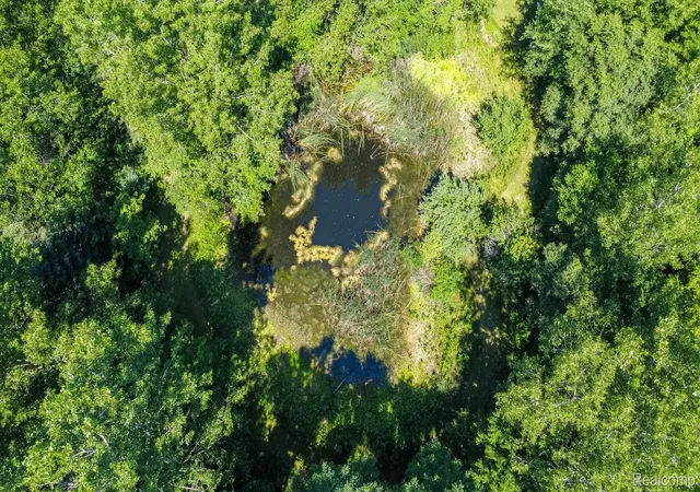 2nd image of 38 S Force, Attica, MI 48412 | MLS# 20261053901