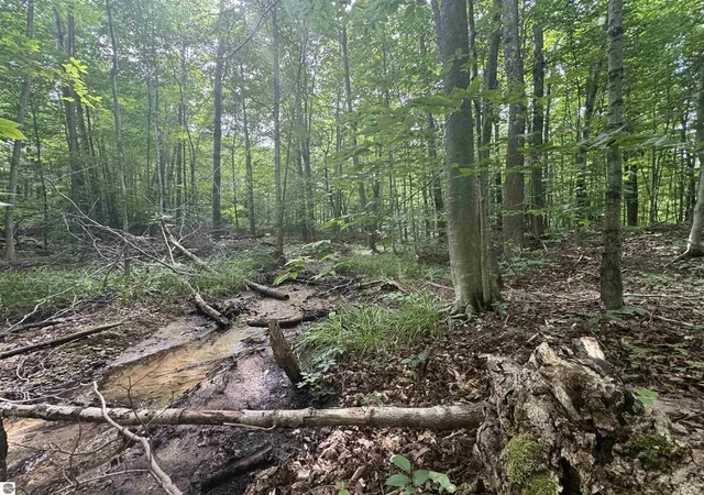 2nd image of 0 Six Mile Lake Rd, Ellsworth, MI 49729 | MLS# 78080071031