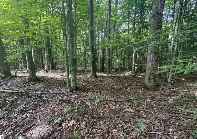 9th image of 0 Six Mile Lake Rd, Ellsworth, MI 49729 | MLS# 78080071031