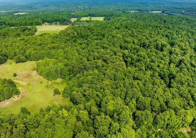Photo 2 of Land for sale at 000 Zimmerman Rd, Beulah, MI 49617 | MLS# 78080071066 | Listing updated on 2026-07-25