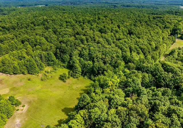 Photo 3 of Land for sale at 000 Zimmerman Rd, Beulah, MI 49617 | MLS# 78080071066 | Listing updated on 2026-07-25