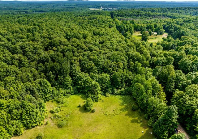 Photo 3 of Land for sale at 000 Zimmerman Rd, Beulah, MI 49617 | MLS# 78080071066 | Listing updated on 2026-07-25
