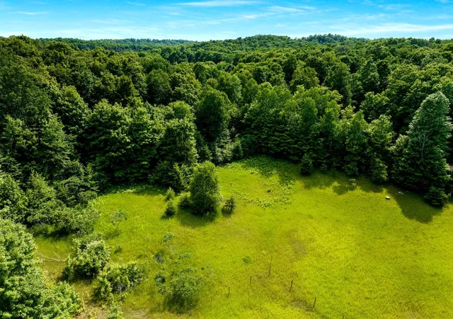 Photo 4 of Land for sale at 000 Zimmerman Rd, Beulah, MI 49617 | MLS# 78080071066 | Listing updated on 2026-07-25