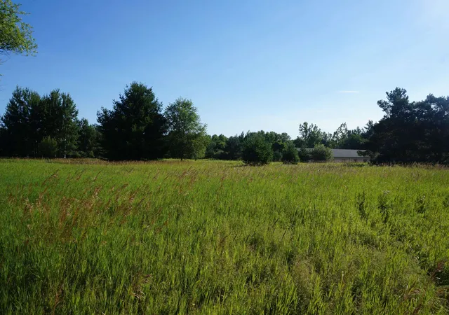Photo 3 of Land for sale at 00 Tawas Rd, Reno Township Iosco, MI 48770 | MLS# 77080071079 | Listing updated on 2026-08-21