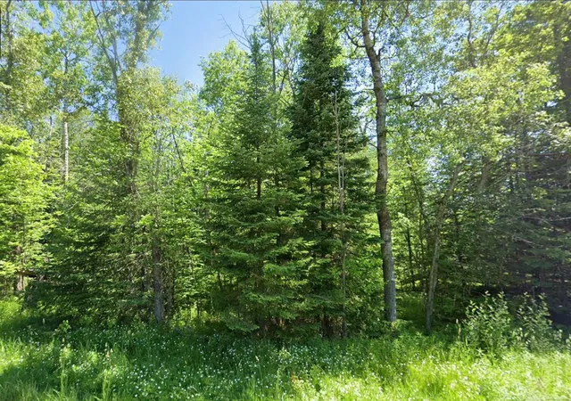 Land for sale at 0 Sawyer Ln, Rose City, MI 48654 | MLS# 58050214971