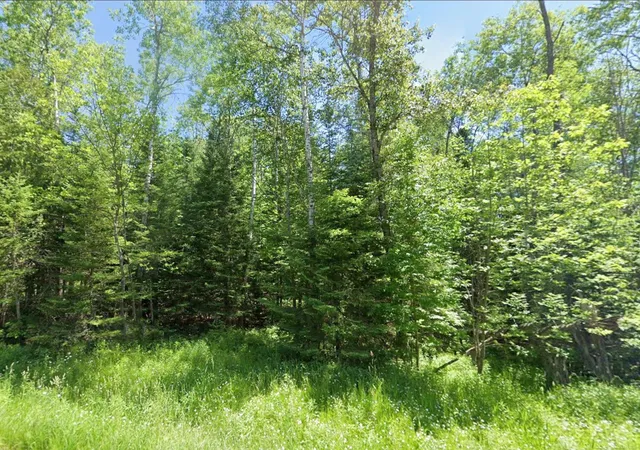 Photo 2 of Land for sale at 0 Sawyer Ln, Rose City, MI 48654 | MLS# 58050214971 | Listing updated on 2026-08-26