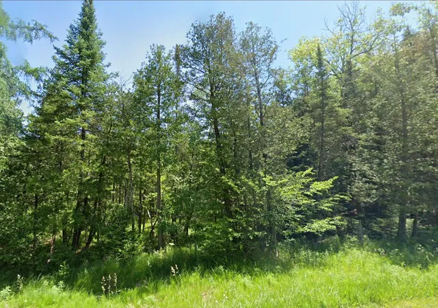 Photo 3 of Land for sale at 0 Sawyer Ln, Rose City, MI 48654 | MLS# 58050214971 | Listing updated on 2026-08-26
