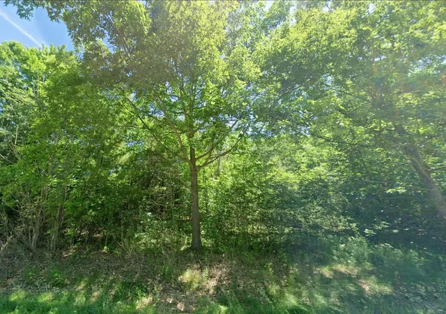 Photo 3 of Land for sale at 0 Sawyer Ln, Rose City, MI 48654 | MLS# 58050214971 | Listing updated on 2026-08-26
