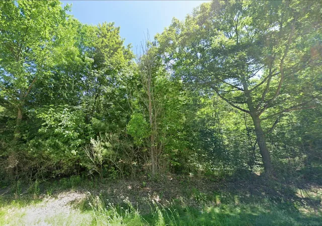 Photo 4 of Land for sale at 0 Sawyer Ln, Rose City, MI 48654 | MLS# 58050214971 | Listing updated on 2026-08-26